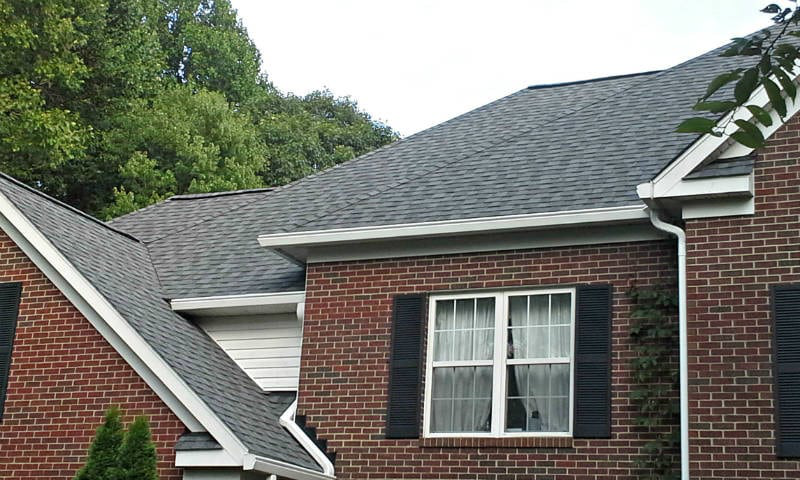 Roof shingles